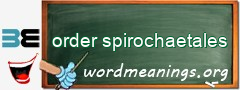 WordMeaning blackboard for order spirochaetales